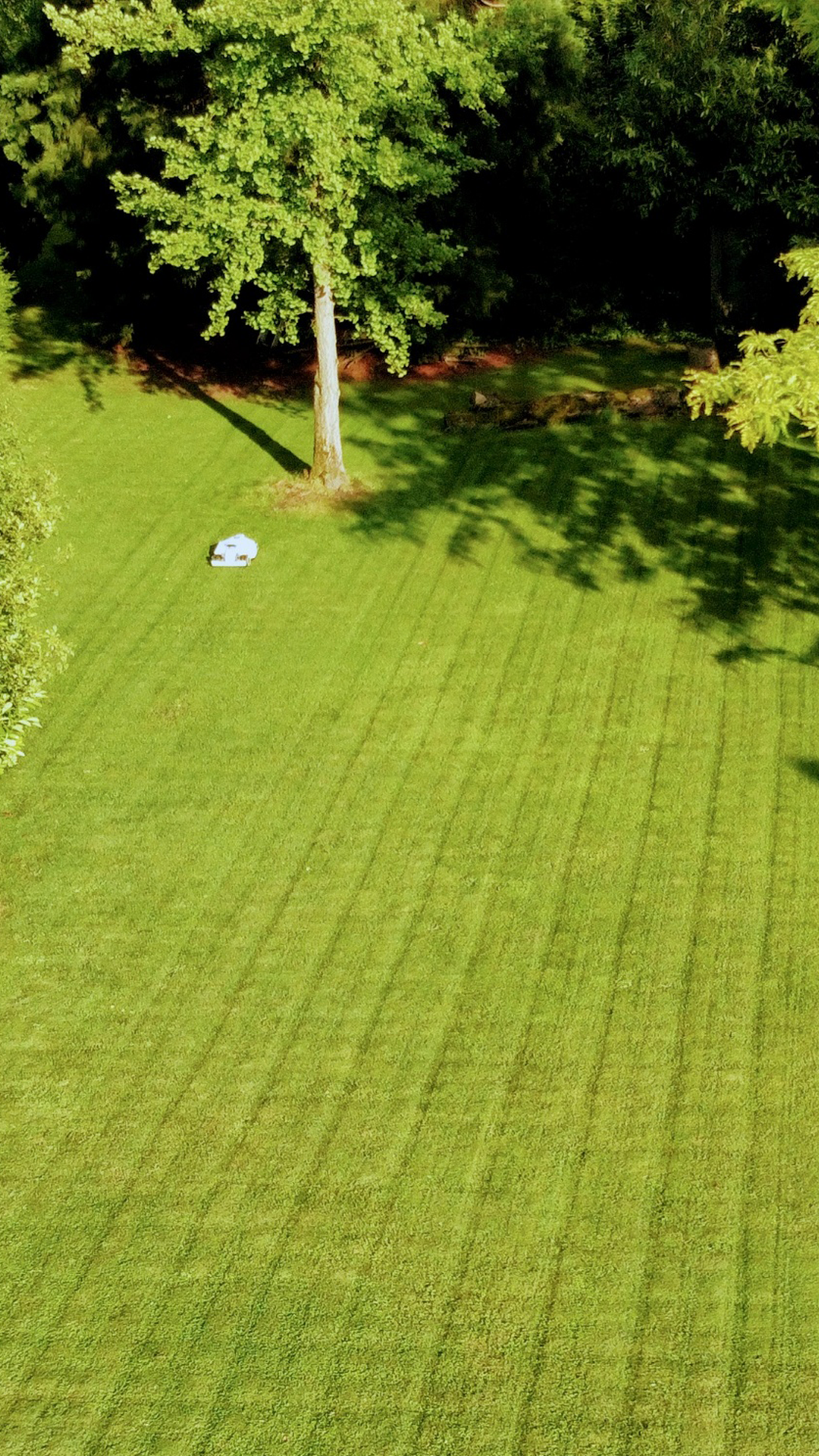 Mammotion LUBA Mini AWD 800 | all wheel drive robot mower