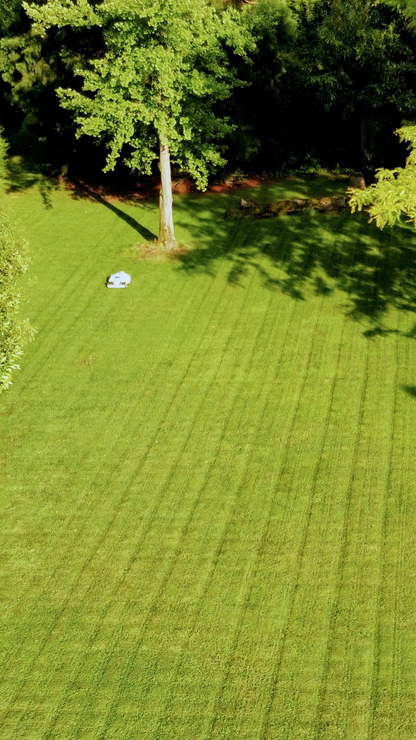 Mammotion LUBA Mini AWD 800 | all wheel drive robot mower
